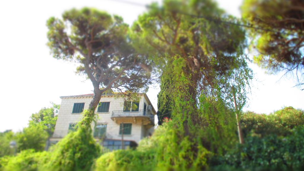 Apartment Dubrovnik Surprise Екстериор снимка